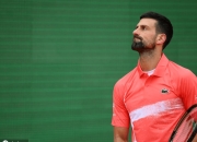 im电游游戏-包含年终总决赛绝杀蒙特卡洛大师赛，德约科维奇高光表现的词条