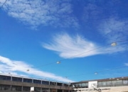 im电竞APP下载-西雅图海湾者体能训练升级，备战蒙特雷半决赛