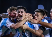 im电游-阿根廷战队成功晋级决赛阶段