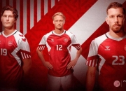 IM电竞游戏-包含虎踞龙盘！欧洲国家队功勋无愧的词条