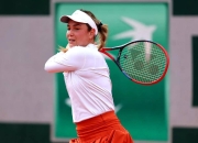 im电竞官网-包含斯图加特队员状态火热，连胜多场比赛的词条