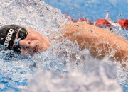 im电竞APP-包含波兰国家队在欧锦赛角逐中势不可挡，毫无悬念的词条