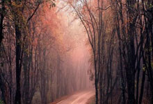 IM电竞游戏-蒙特雷保持连胜势头，世俱杯冠军呼之欲出