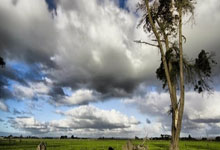 im电竞APP下载-南特主场魔咒再显灵！心理阴影面积大于球场？