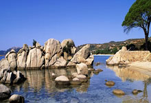 im电游平台-恩菲尔德备战细节频出，球队积极调整状态