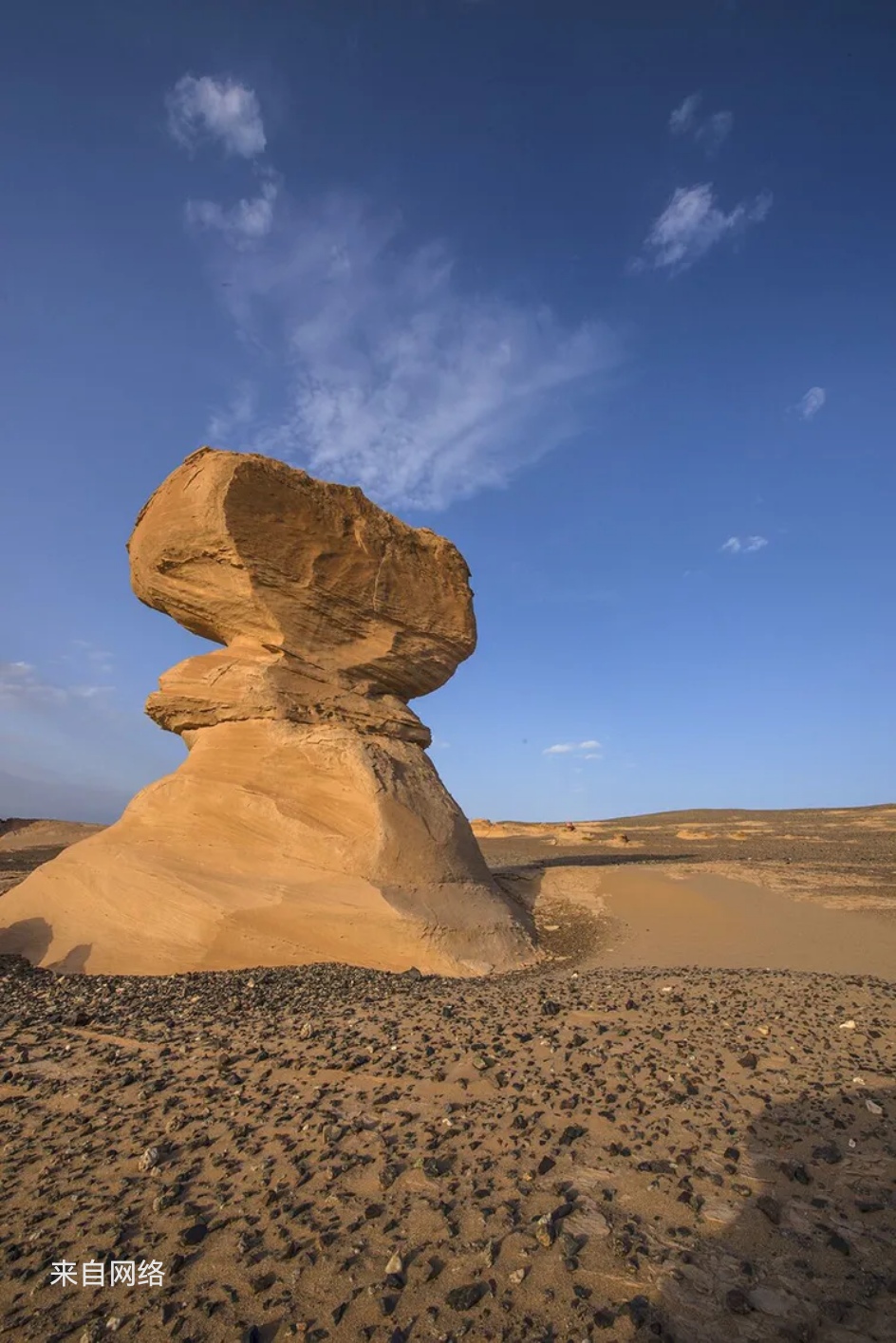 包含夺冠之路,险象环生谁能掌控全局的词条 包含夺冠之路,险象环生谁能掌控全局的词条