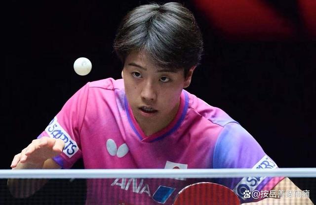 墨西哥乒乓球选手逆袭夺冠,惊艳全场! 墨西哥乒乓球选手逆袭夺冠,惊艳全场!