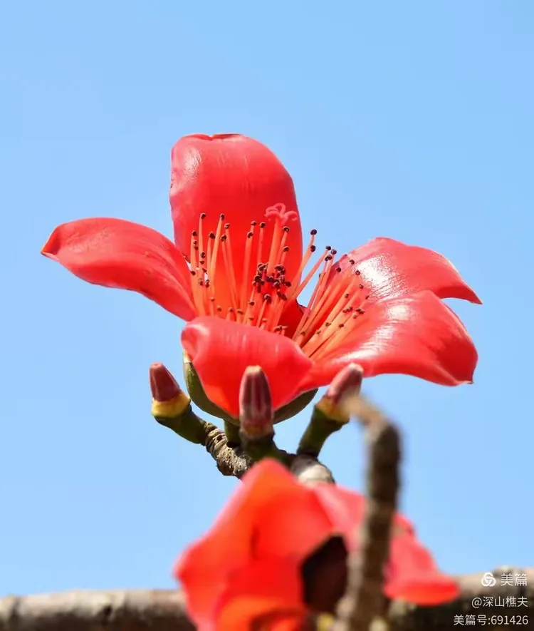 红红火火!亚洲盛事引发人们热议的简单介绍 红红火火!亚洲盛事引发人们热议的简单介绍