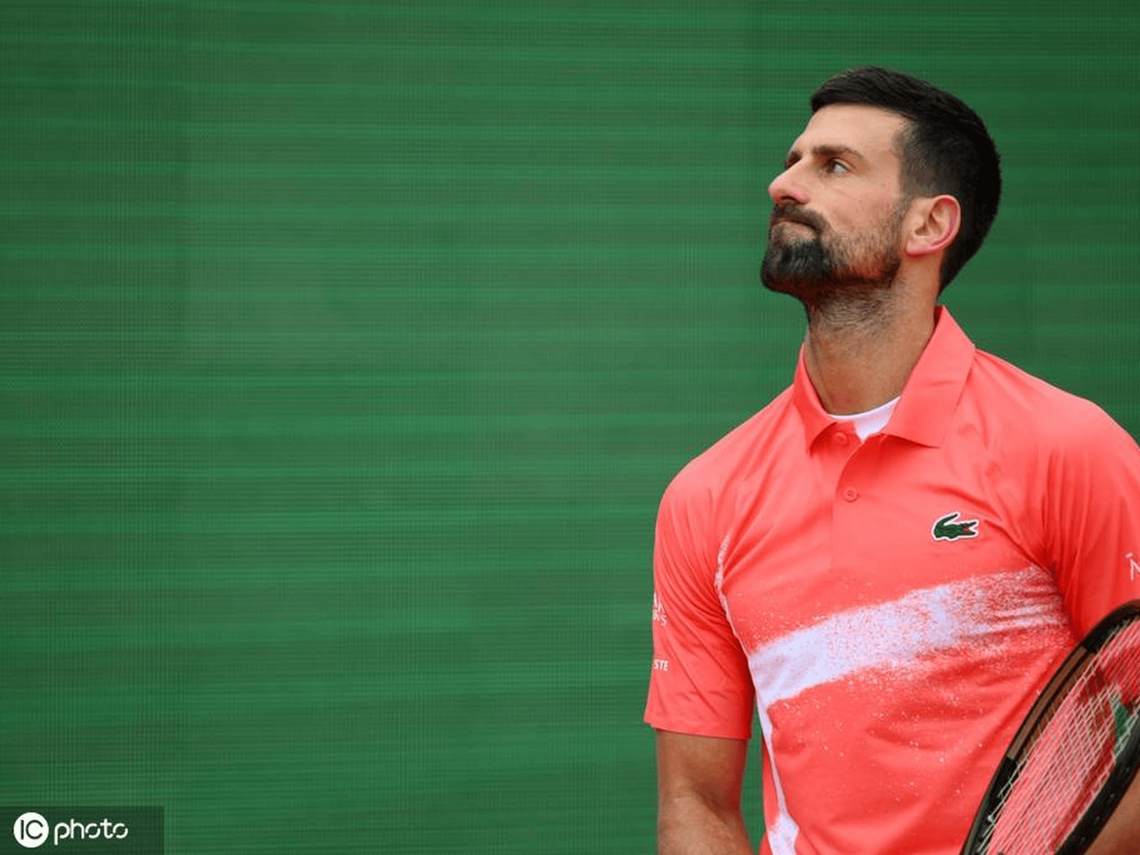 包含年终总决赛绝杀蒙特卡洛大师赛，德约科维奇高光表现的词条