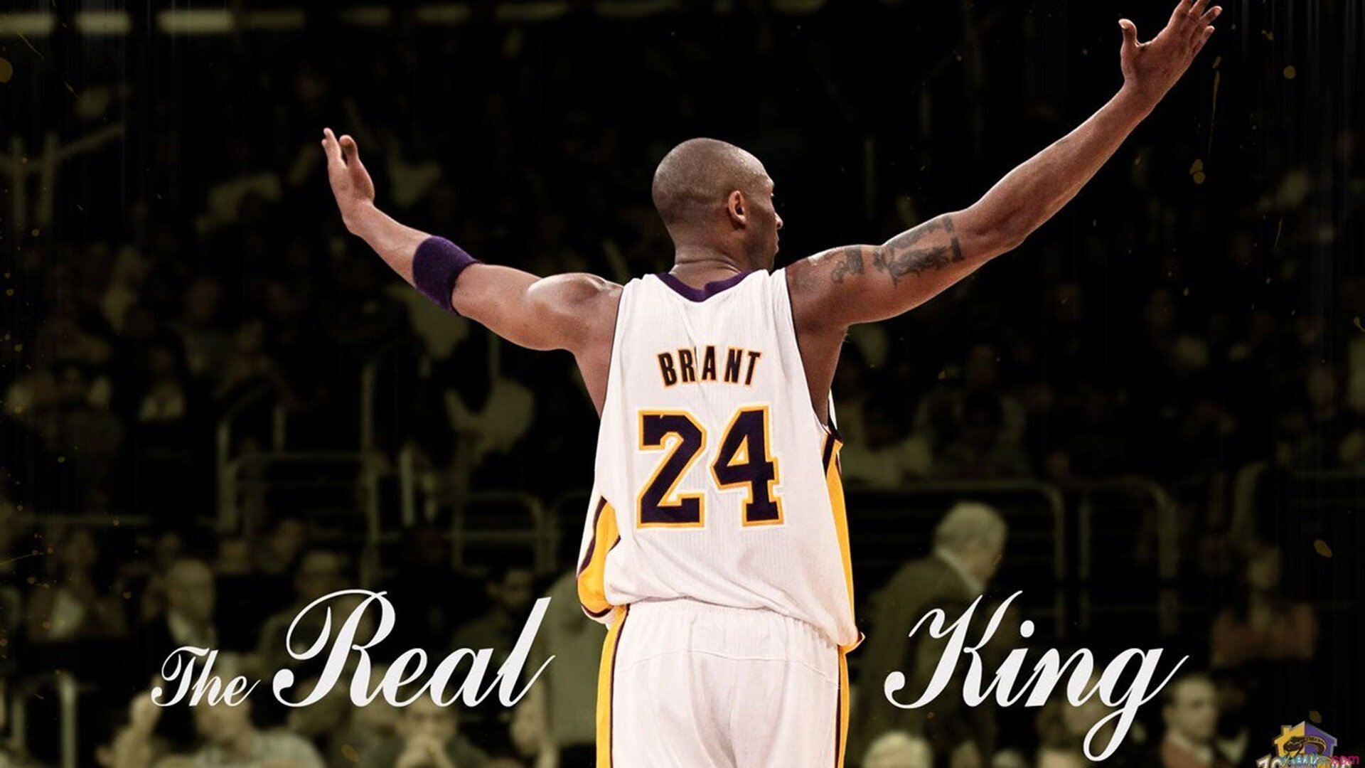 绿茵场上的哥伦布，帕尔默率队破迷雾，利物浦式坚韧照亮新大陆